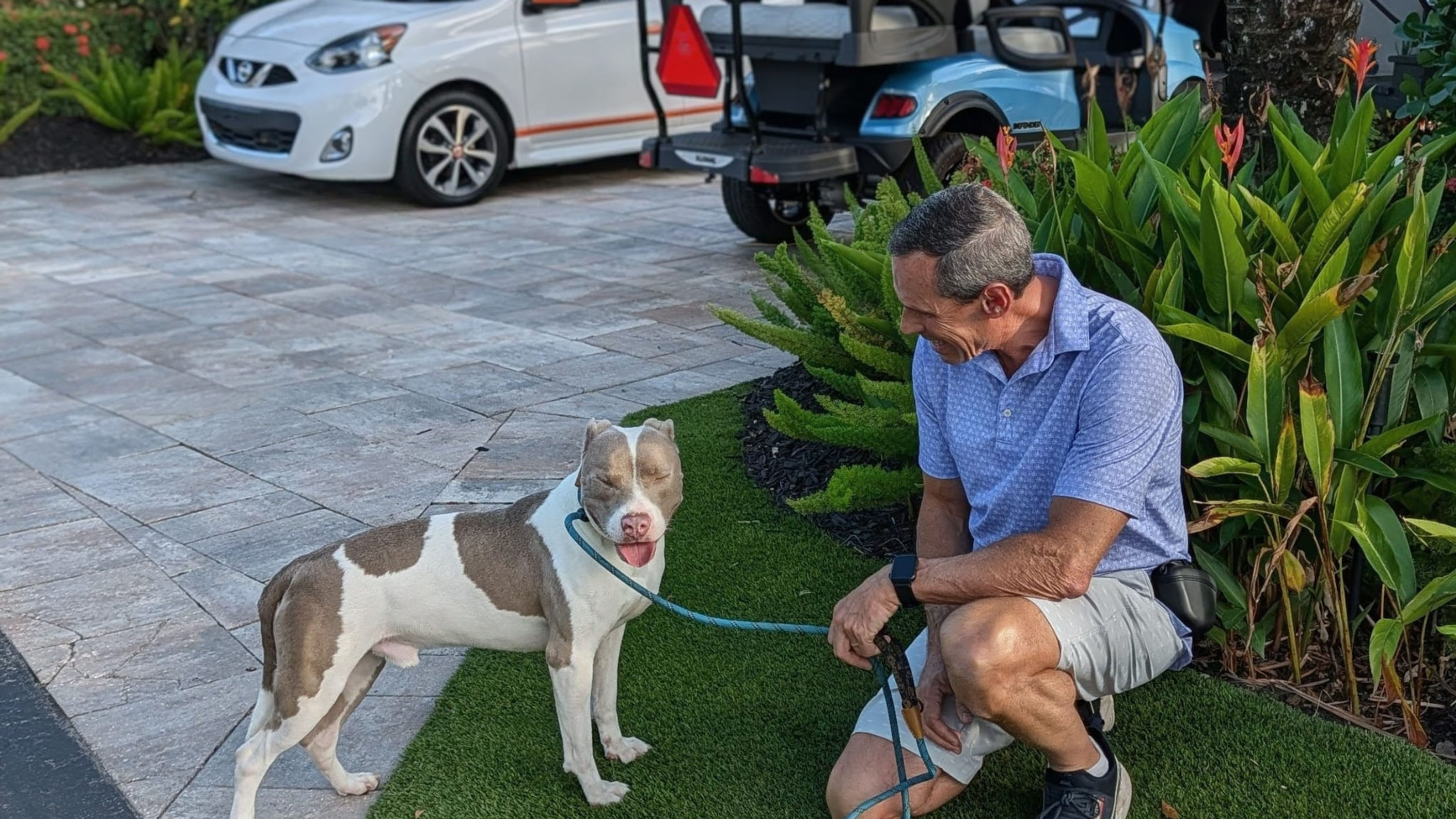 Dog rehab & training videos